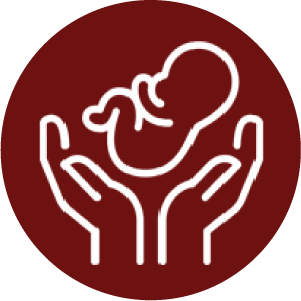 1744781844_Icon 5.png